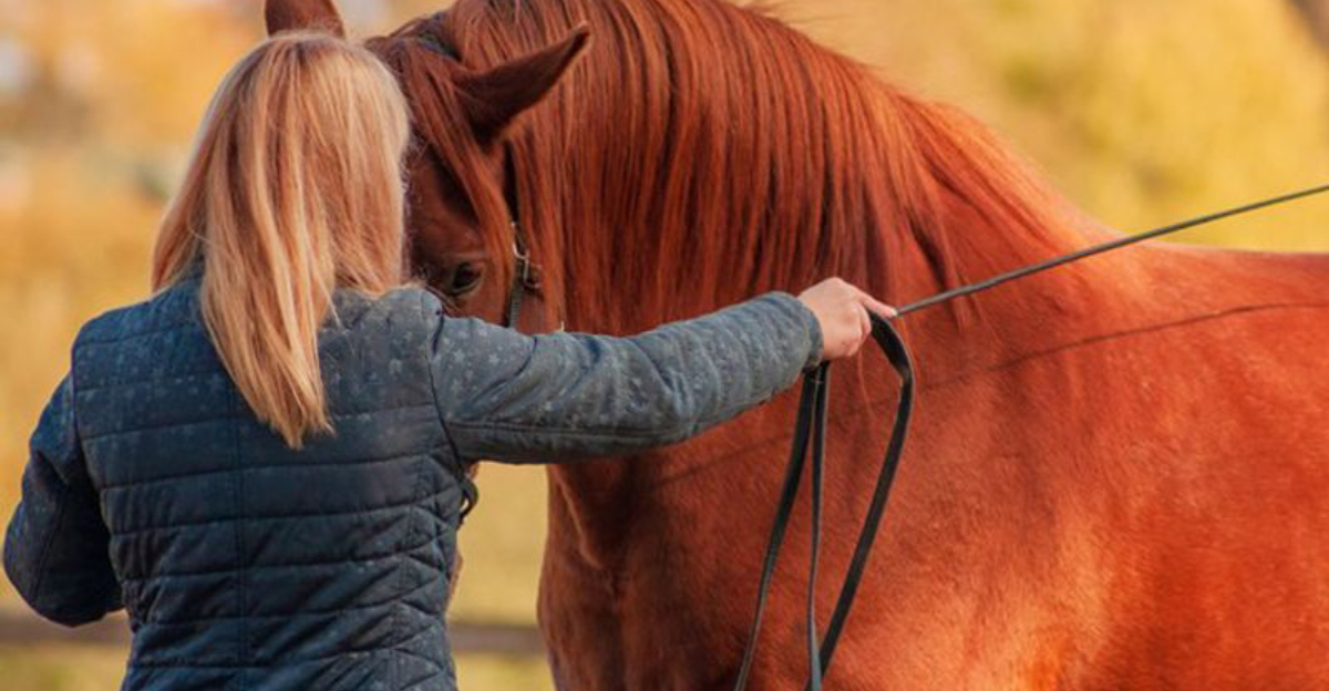 7 Ways To Show Your Horse You Love Them (In A Way They Can Understand)