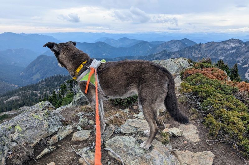 Adventurous Hikes