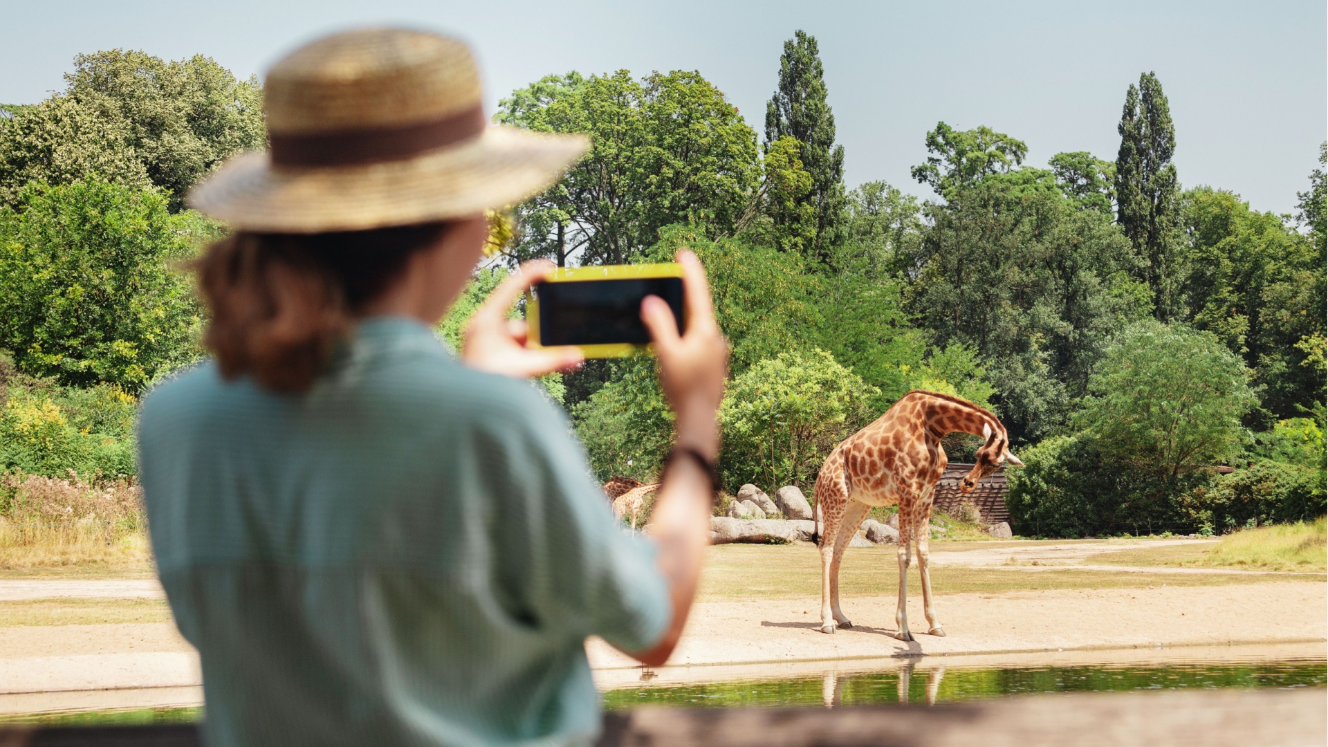 America’s 15 Largest Zoos