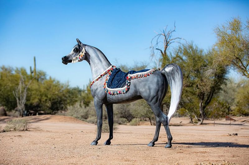 Arabian Horse