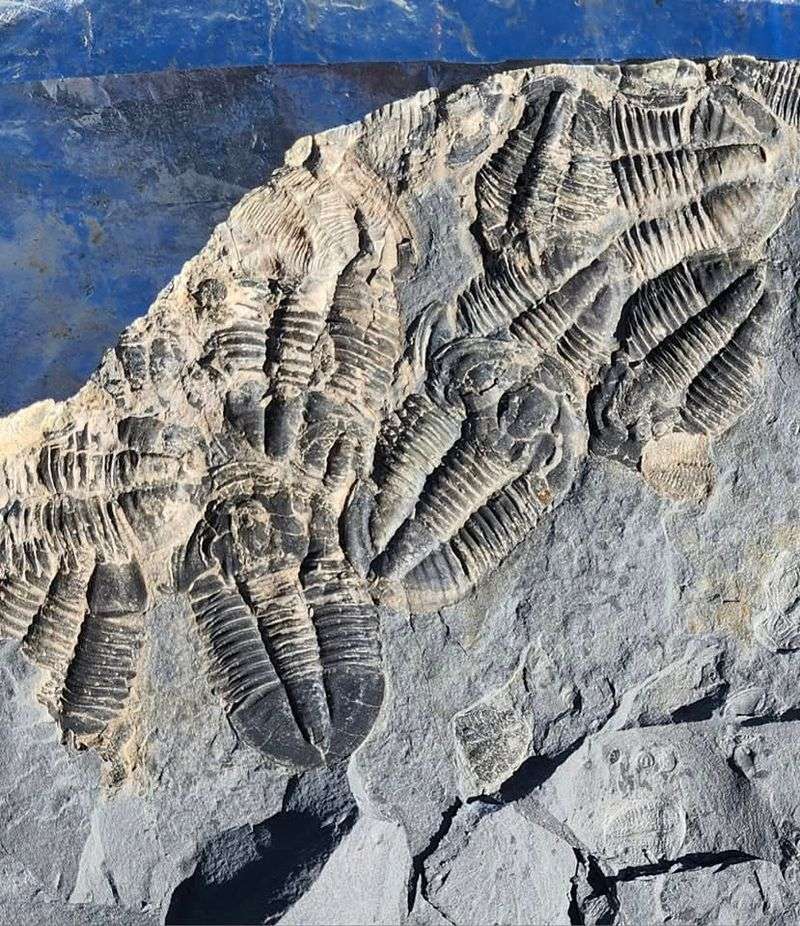 Badlands National Park, South Dakota