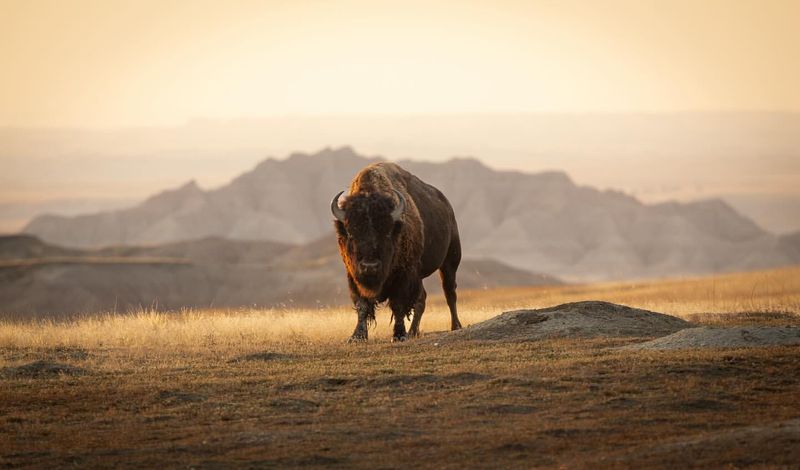 Badlands National Park, South Dakota