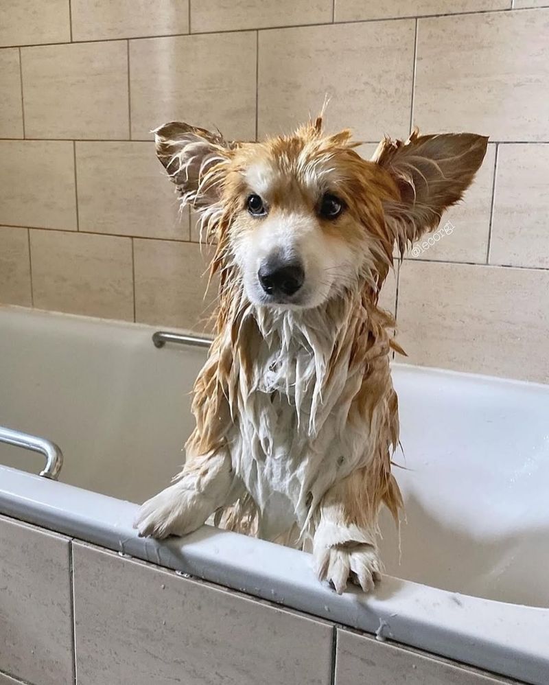 Baking Soda Bath