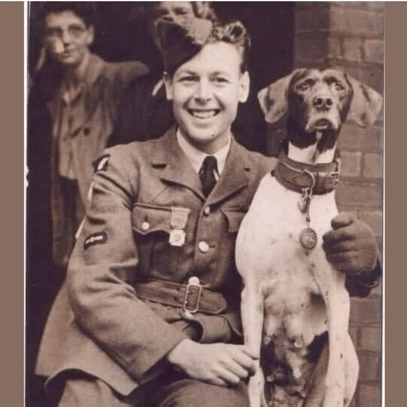 Judy The Prisoner Of War Dog