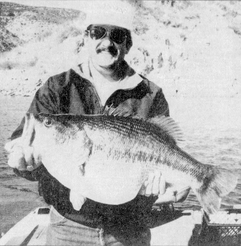 Bob Crupi's Largemouth Legend