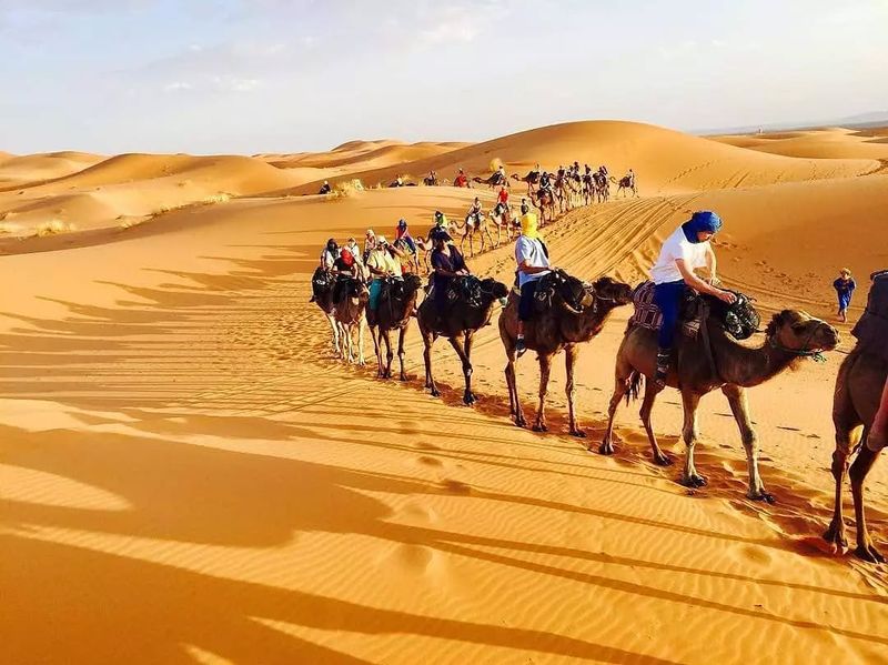 Camel Trekking In The Sahara Desert, Morocco