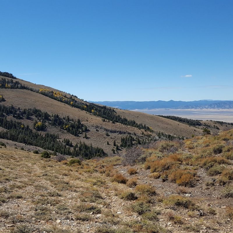 Cleveland-Lloyd Dinosaur Quarry, Utah