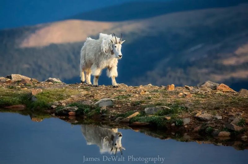 Colorado