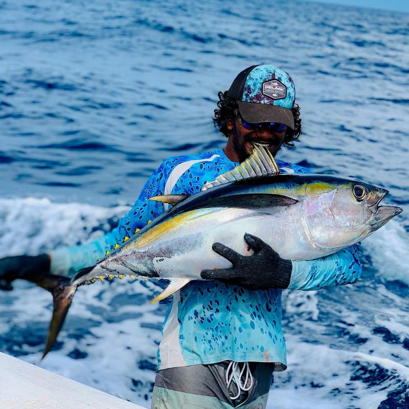 The Thrill Of Yellowfin Tuna Fishing