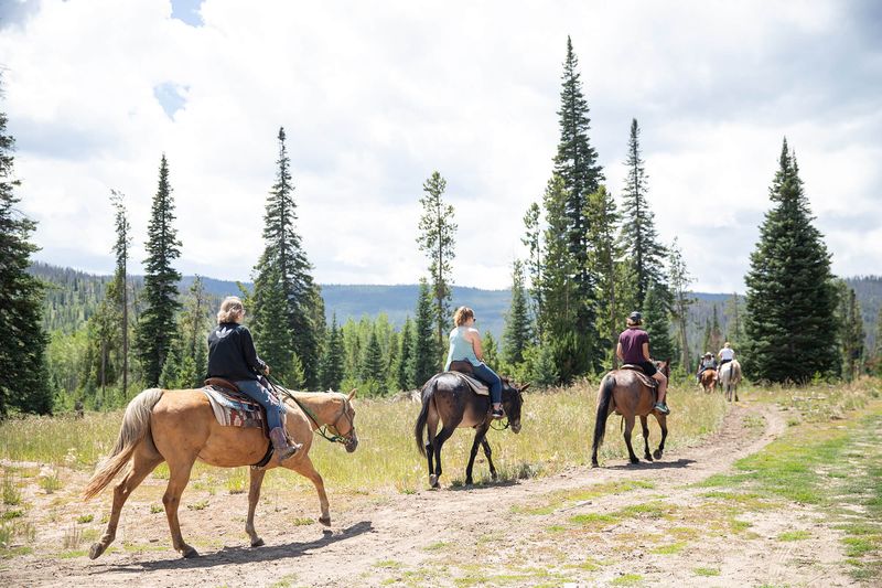 Controlled Riding in Groups