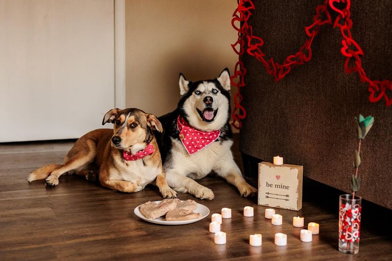 Cook a Pet-Friendly Valentine’s Dinner