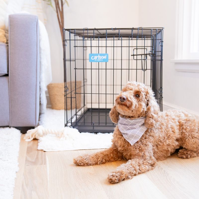 Crate Training Best Practices