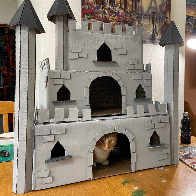 DIY Cat Castle