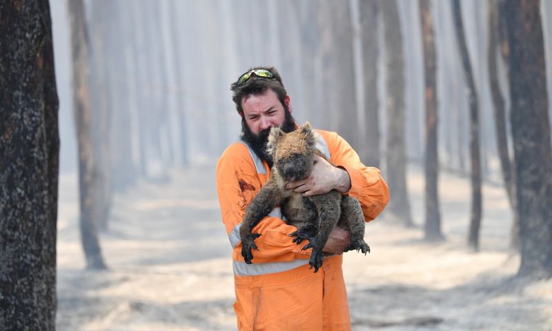 More Frequent And Intense Wildfires