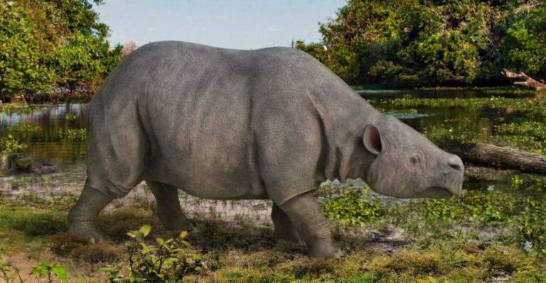 Did You Know A 3,000-Pound ‘Heavy Rhinoceros’ Once Roamed South America