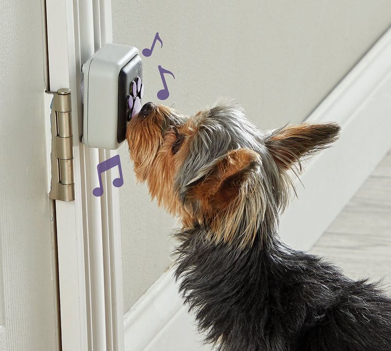 Dog Doorbell