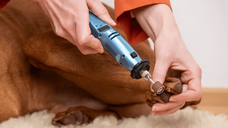 Dog Nail Grinder