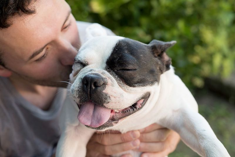 Dogs Love You More Than You Think