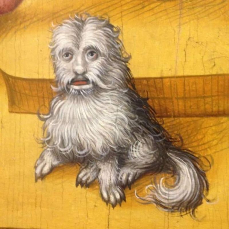 Dogs in the Middle Ages