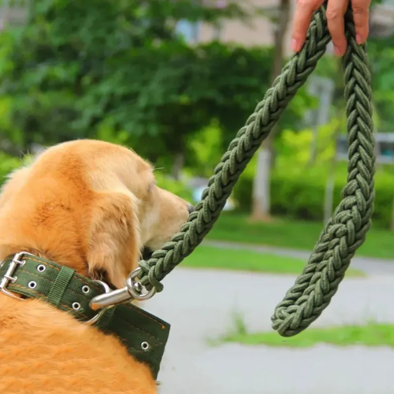 Durable Leash