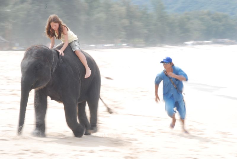 Elephant Saves Tourist from Tsunami