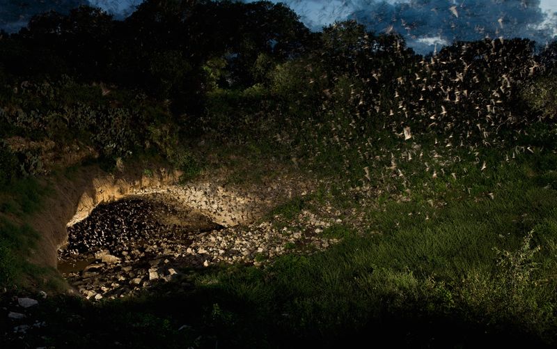 Exploring Caves With Bats In Bracken Cave, Texas, USA