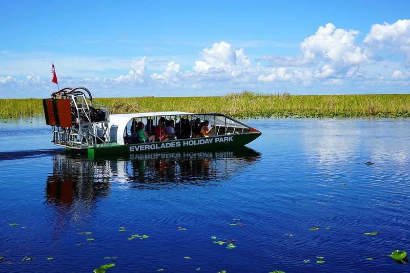 Exploring The Everglades On An Airboat in Florida, USA