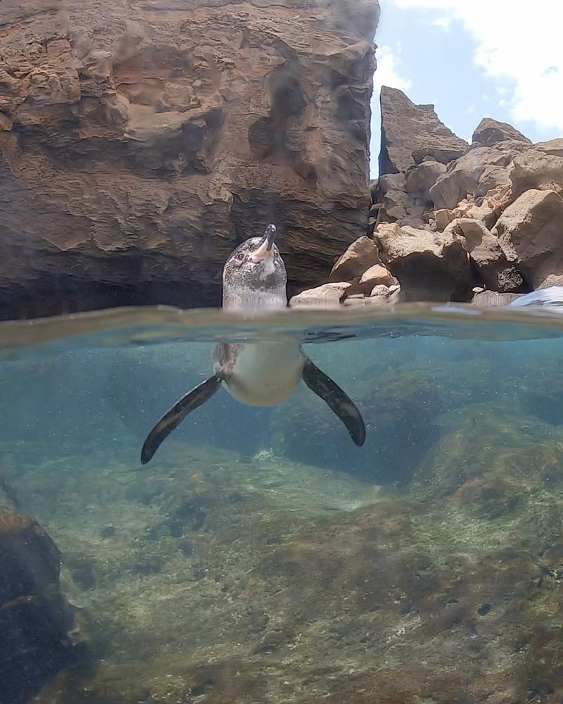 Exploring The Galapagos Islands, Ecuador