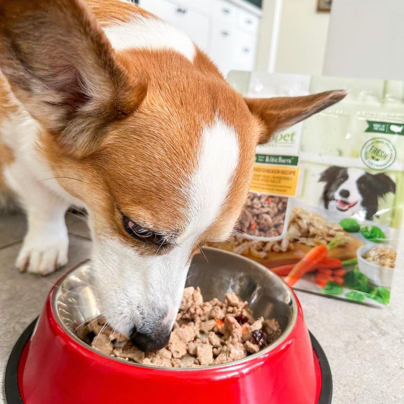 Feeding Arrangements