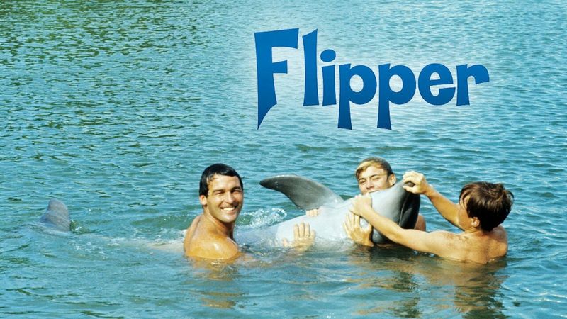 Flipper