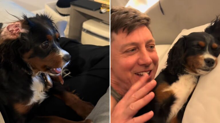 owner and dog