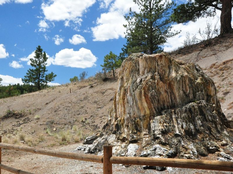 Florissant Fossil Beds National Monument, Colorado