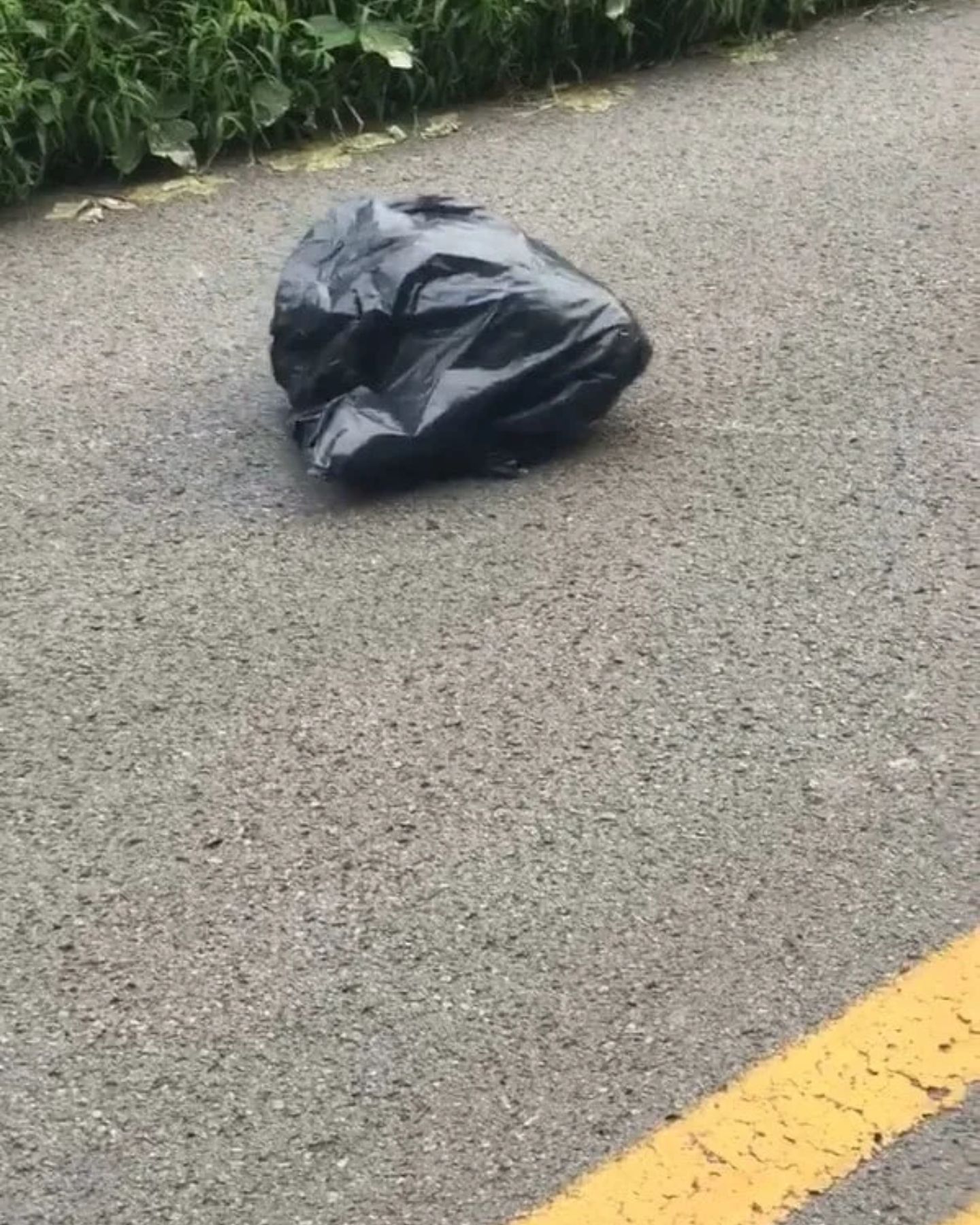 Garbage bag