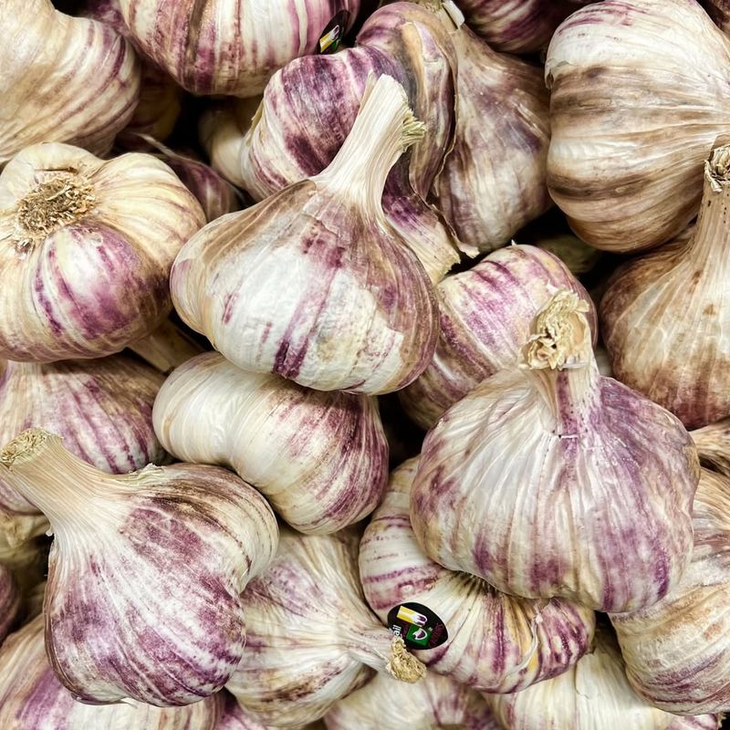 Garlic