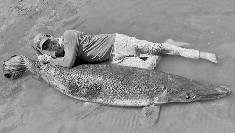 Giant Alligator Gar Encounter