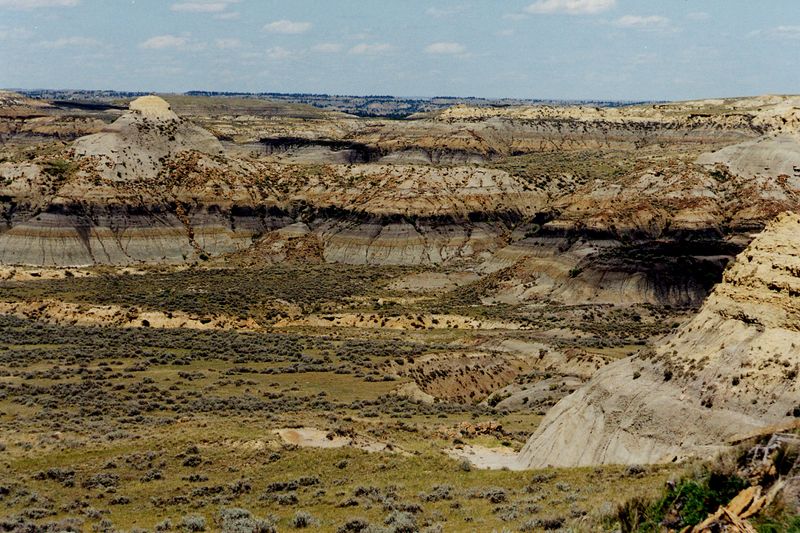 Hell Creek Formation, Montana