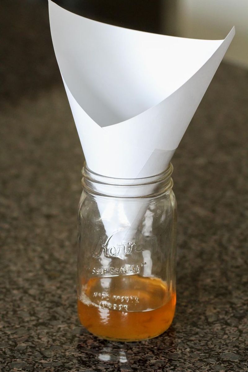 Fruit Fly Trap