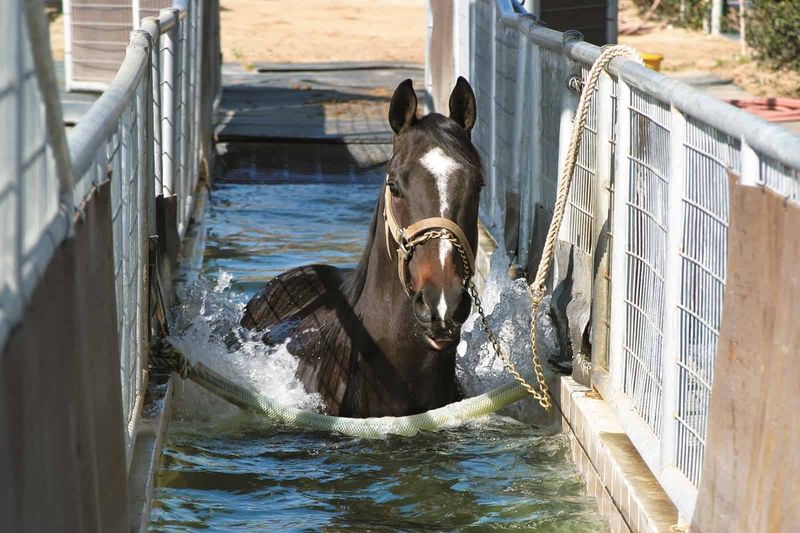 Hydrotherapy in Pools