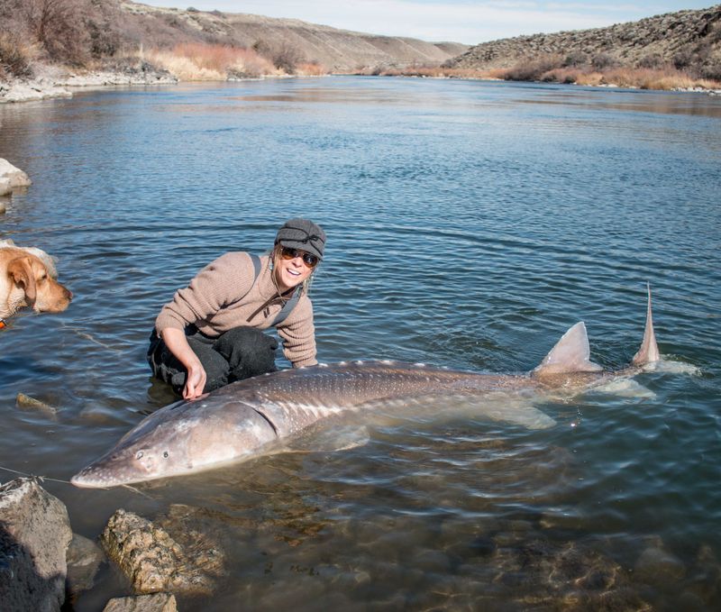 Idaho, Snake River