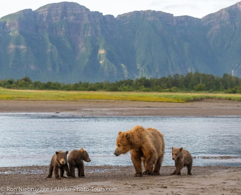 Katmai National Park, Alaska