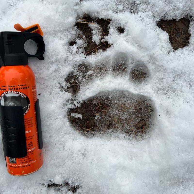 Use Bear Spray