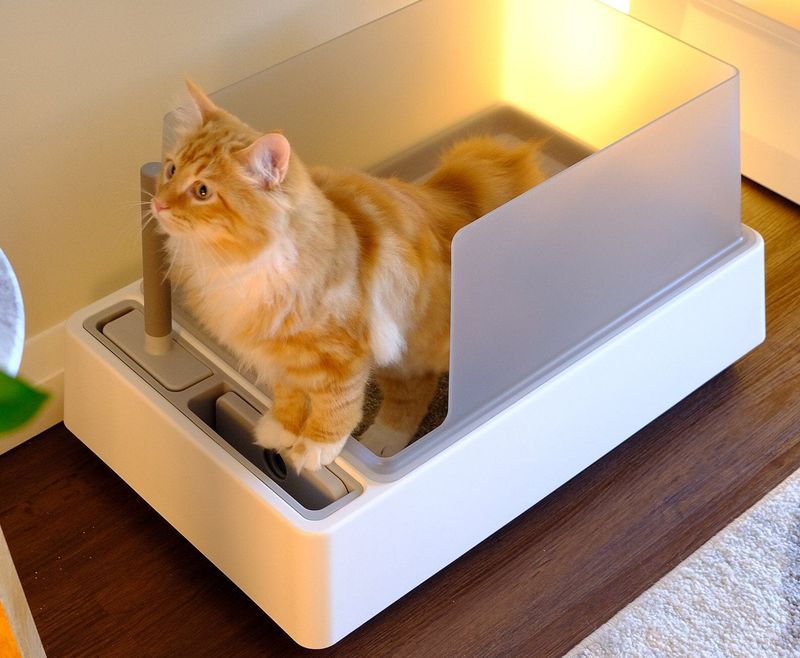 Keep the Litter Box in a Low-Stress Area