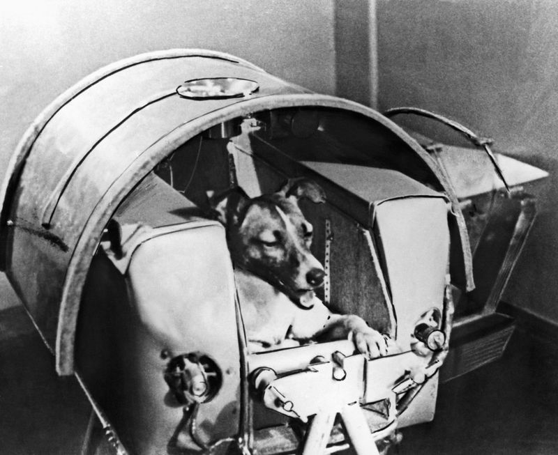 Laika: Pioneering Space Exploration