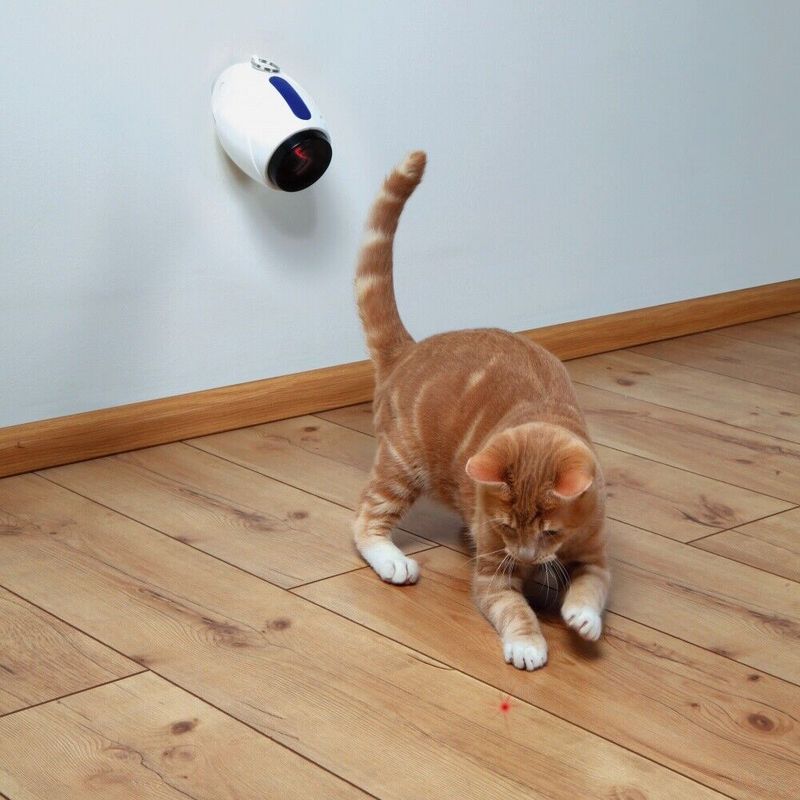 Laser Pointer Games