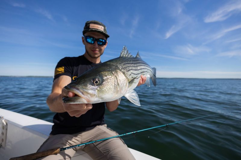 Long Island Sound, Connecticut