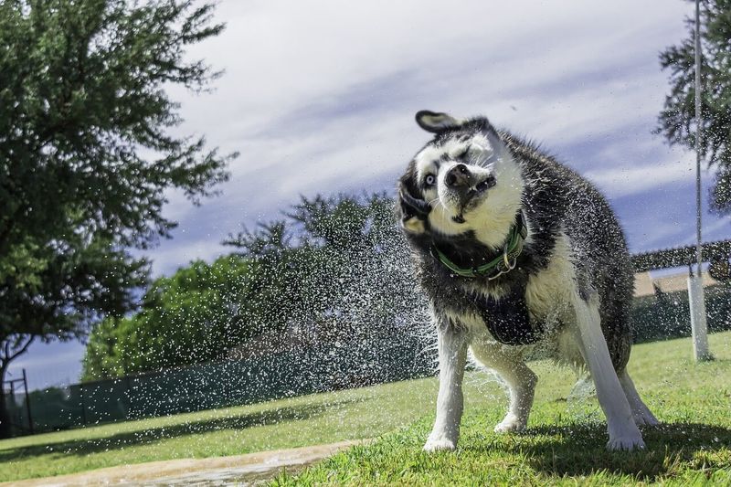 Playful And Engaging