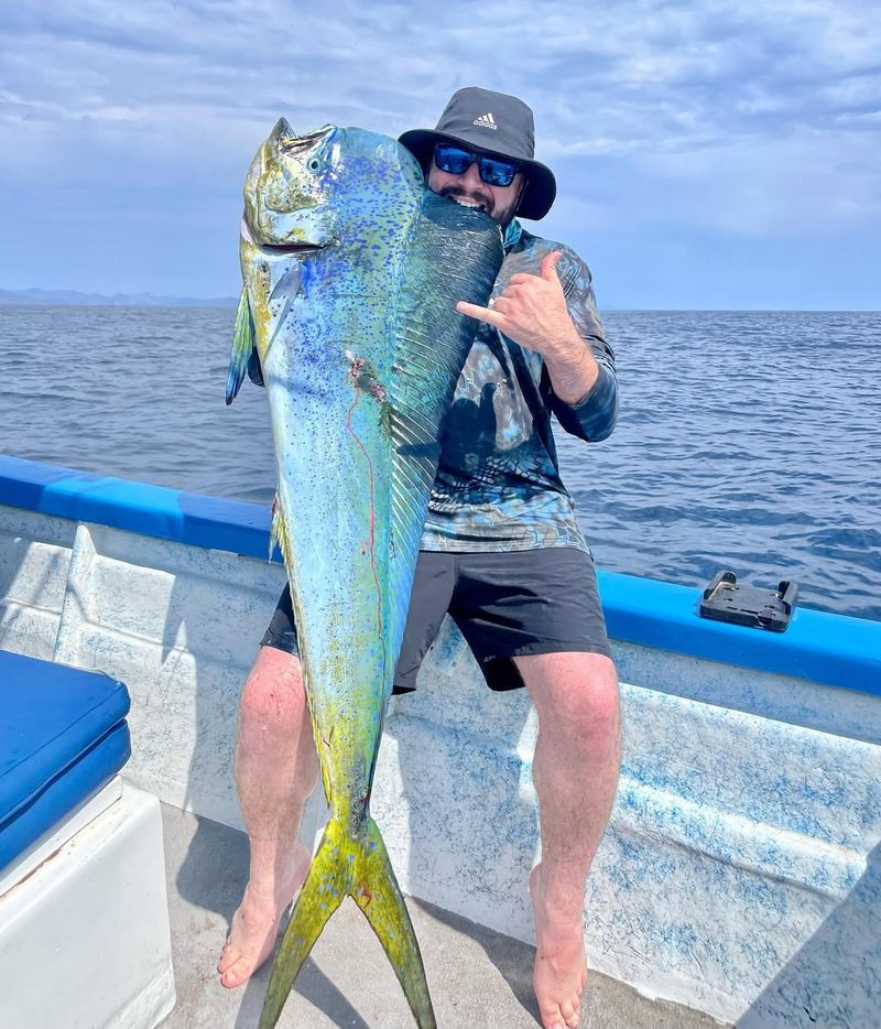 Majestic Mahi-Mahi Catch