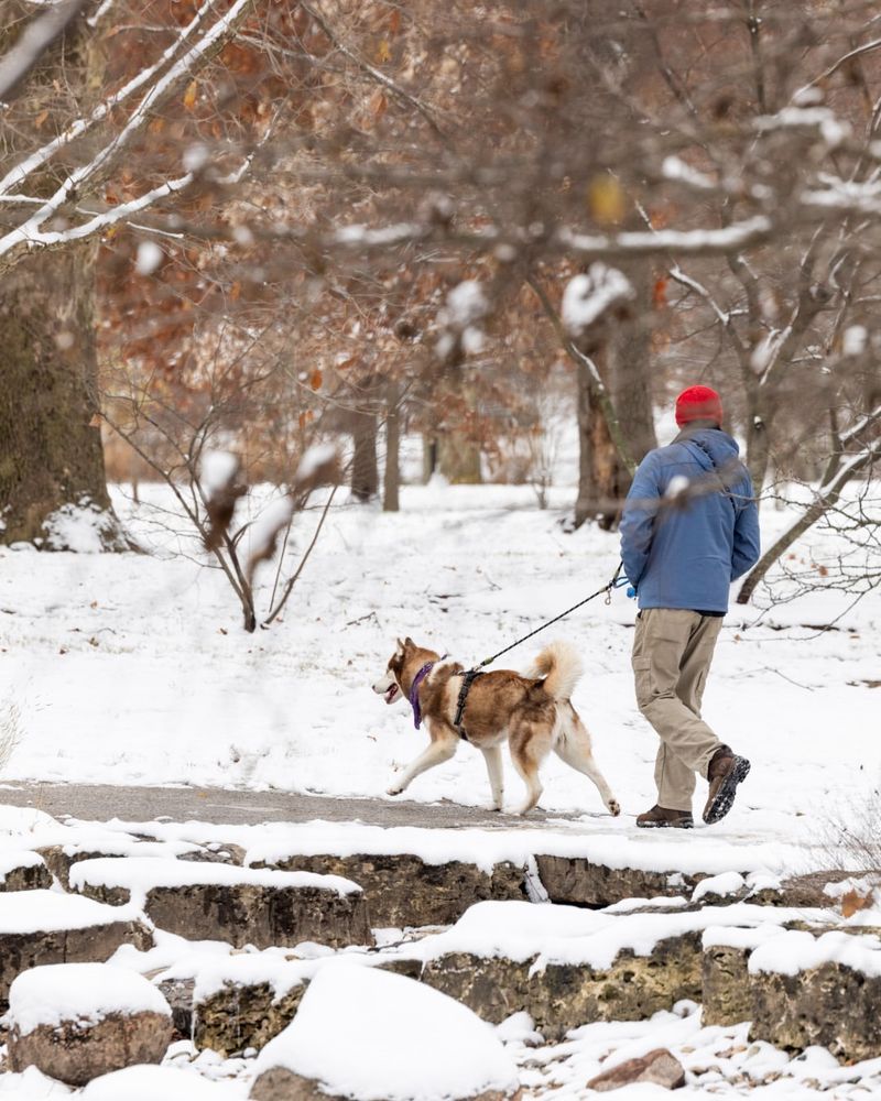 Keep Your Dog Leashed