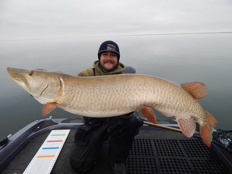 Massive Muskellunge Moment