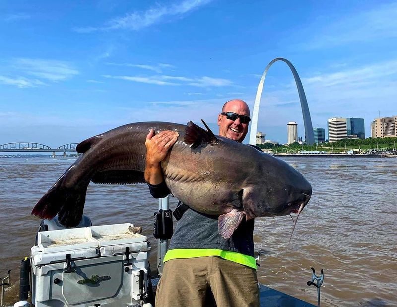 Mighty Mississippi Catfish